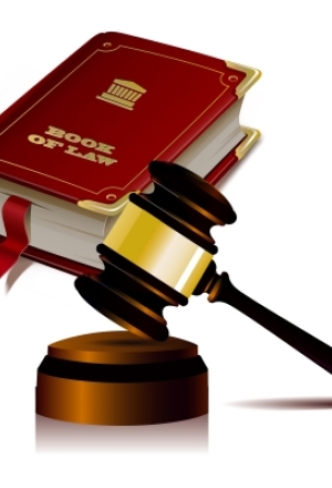 Litigation and Disputes